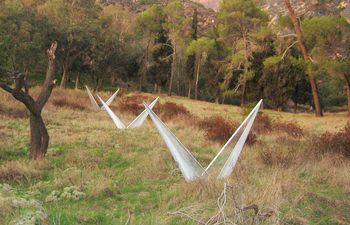 Paradigm-mountains_by_Graham_Goddard